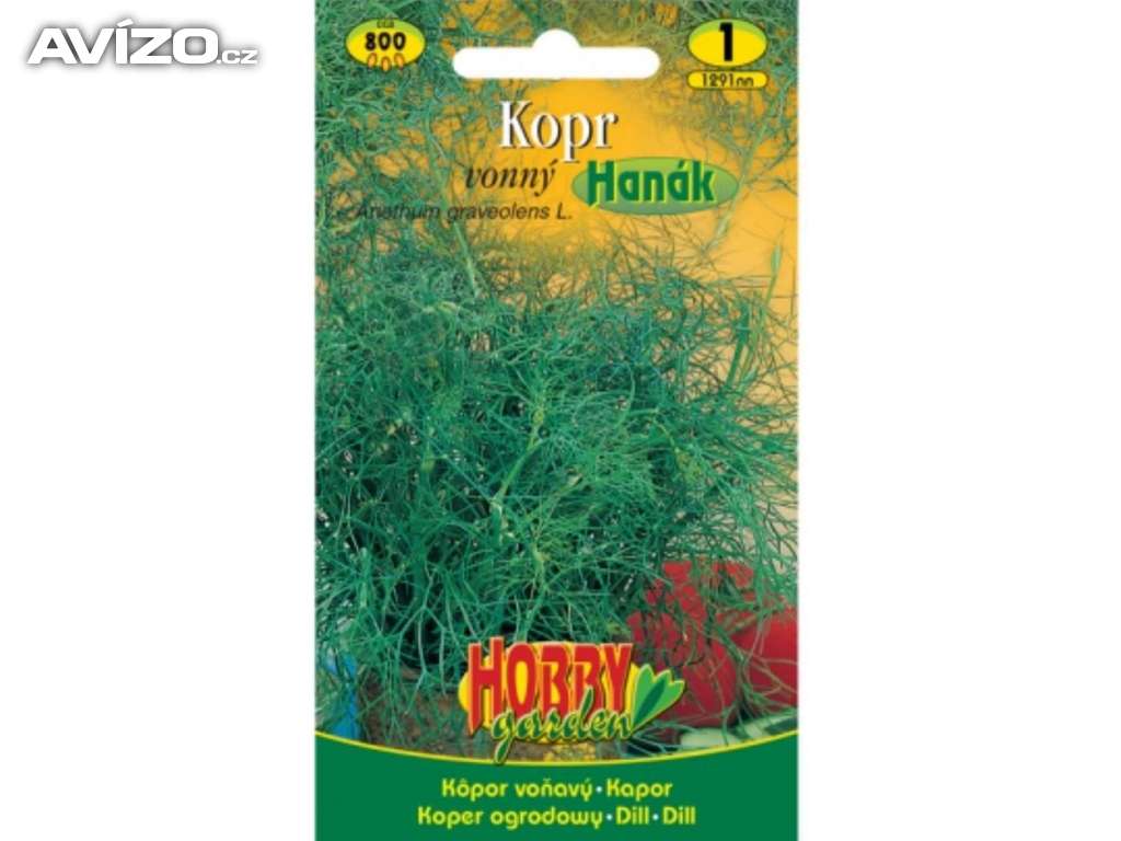 Kopr vonný - Hanák (semena)  www.levna-semena.cz