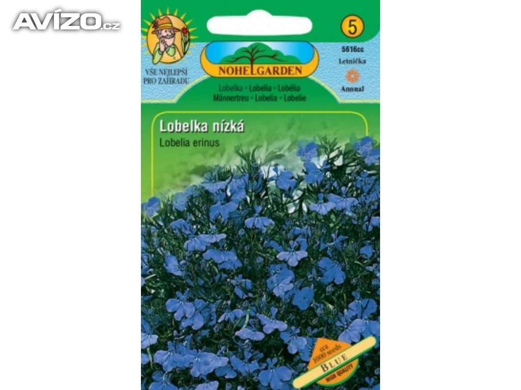 Lobelka nízká, modrá (semena) www.rostliny-prozdravi.cz