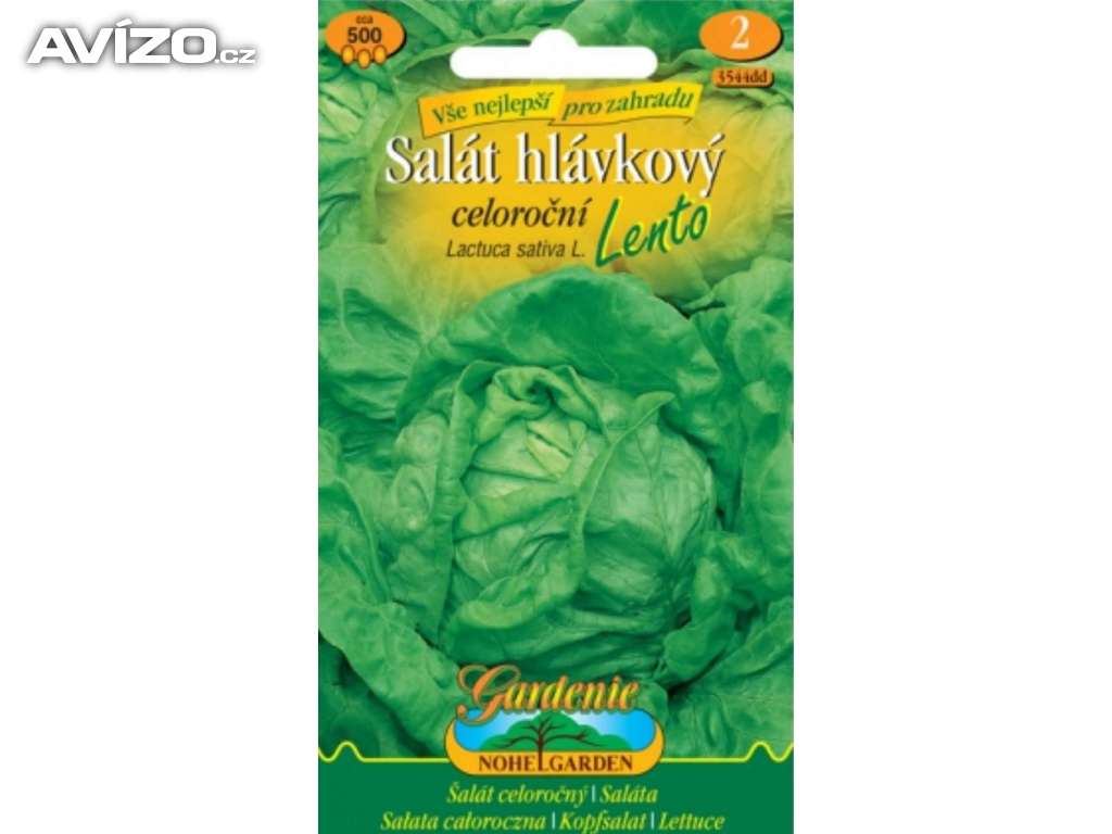 Salát hlávkový, celoroční - Lento (semena)  www.levna-semena.cz