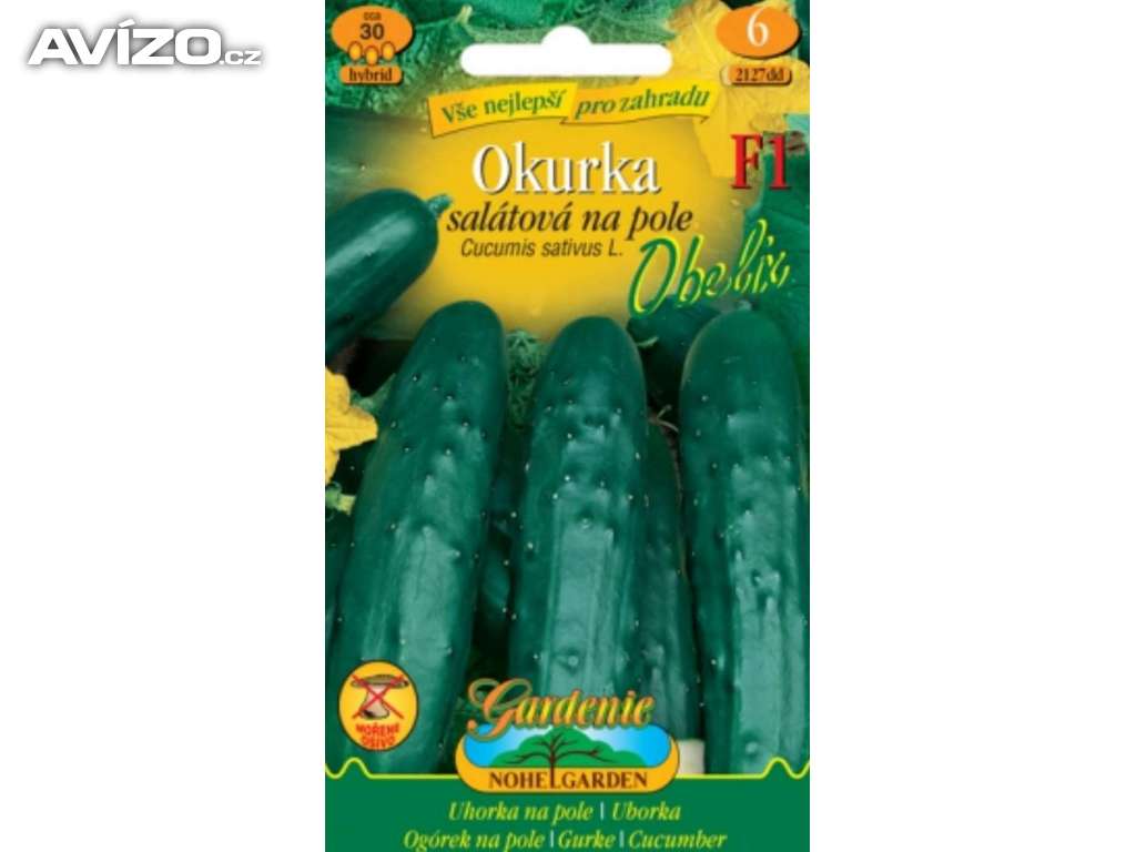 Okurka salátovka , Obelix (semena) www.levna-semena.cz