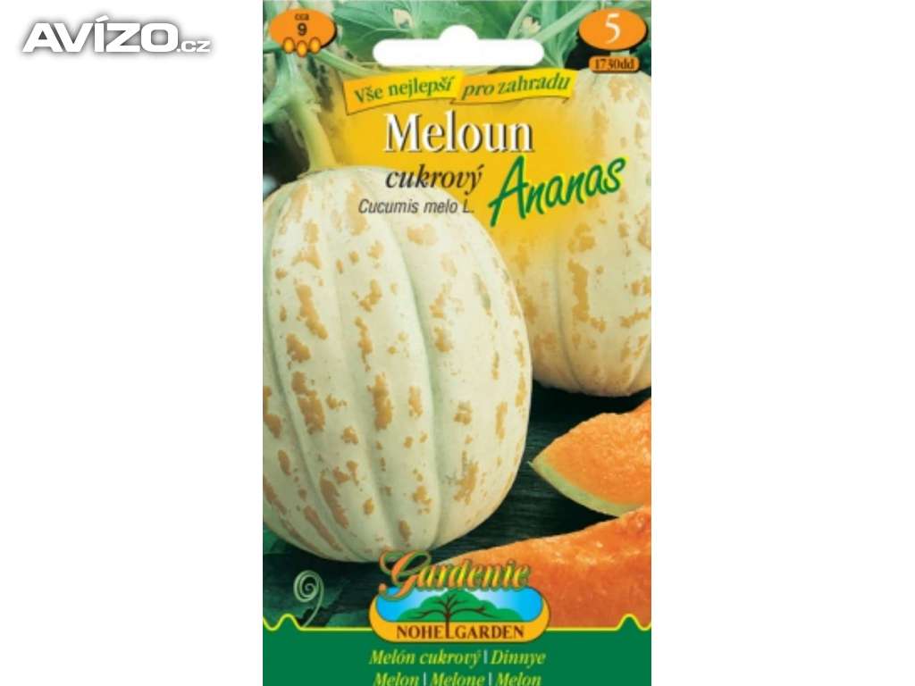Meloun cukrový, oranje ananas (semena) www.levna-semena.cz