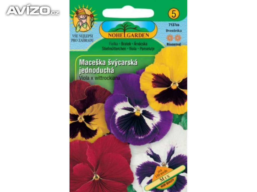 Maceška švýcarská, Mix (semena) www.rostliny-prozdravi.cz