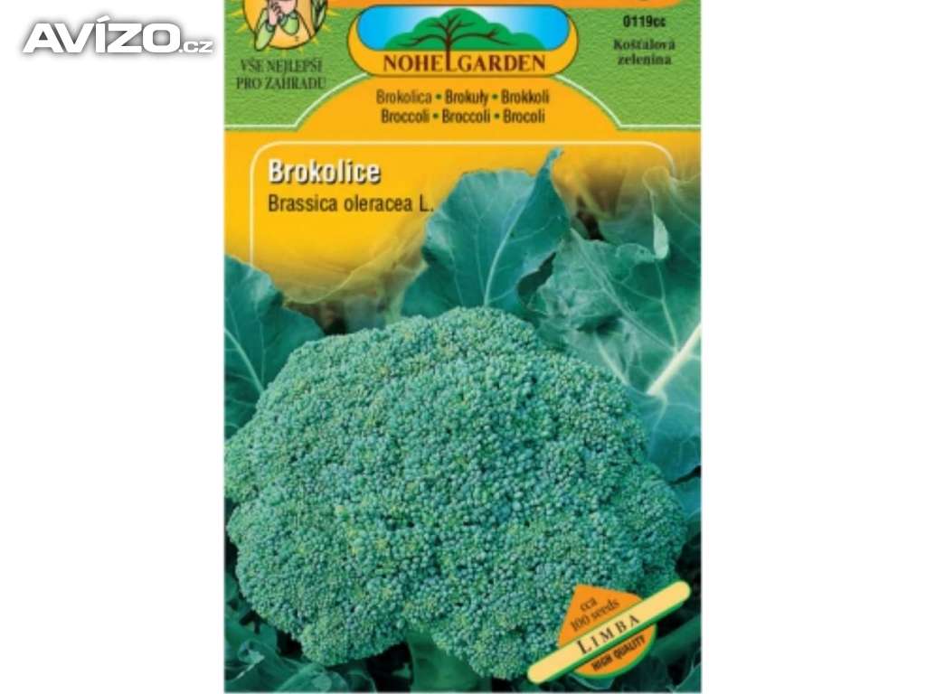 Brokolice, Limba (semena)  www.rostliny-prozdravi.cz